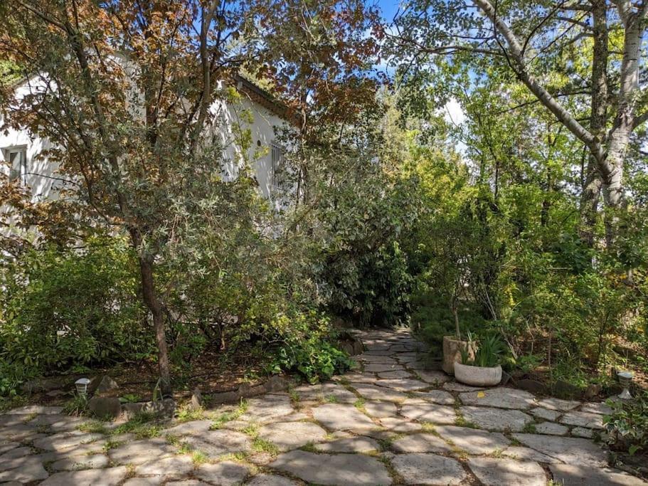 Lavilledieu  Maison Spacieuse Et Lumineuse 4 Personnes מראה חיצוני תמונה